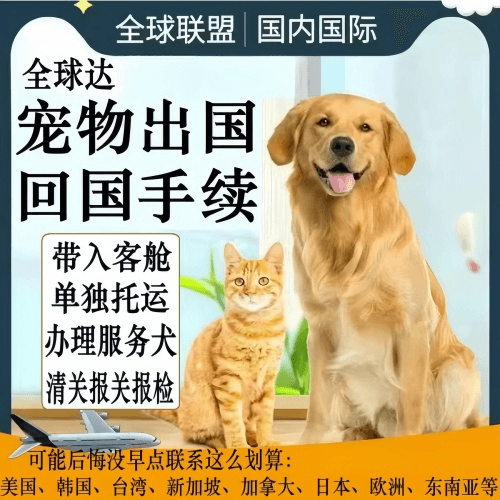 呼和浩特市宠物托运到柬埔寨宠物入境规定和要求
