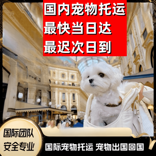 呼和浩特市到澳大利亚（澳洲）宠物入境规定和要求