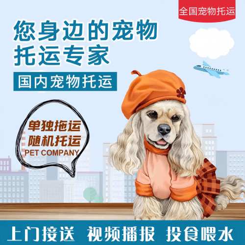 满财呼和浩特市宠物全球达宠物托运作为专业的宠物运输代理机构